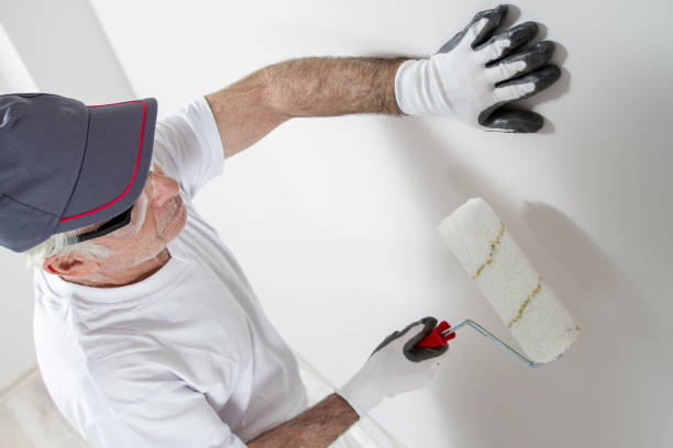 Best Attic Mold Removal  in Palmetto Bay, FL