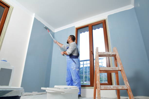 Best Emergency Mold Remediation  in Palmetto Bay, FL