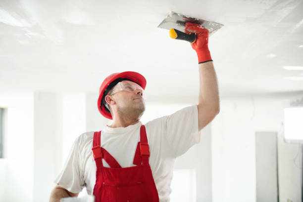 Best Basement Mold Removal  in Palmetto Bay, FL