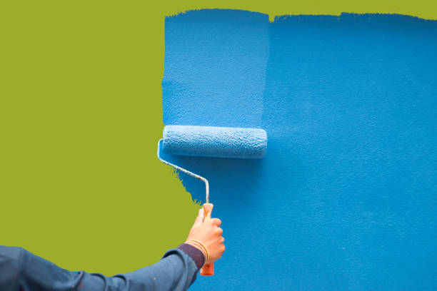Mold Documentation for Insurance Claims in Palmetto Bay, FL